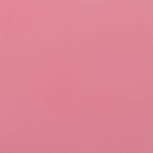 MARTHA STEWART Paint & Primer 8oz Spray Paint, Gloss Camellia Pink (42882) - color: Gloss Camellia Pink