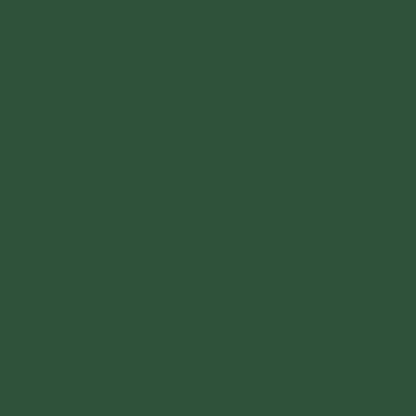 Rust-Oleum Stops Rust Brush On Protective Enamel Paint, Satin Hunter Green - color: Satin Hunter Green, size: 32 Fl Oz (Pack of 2)