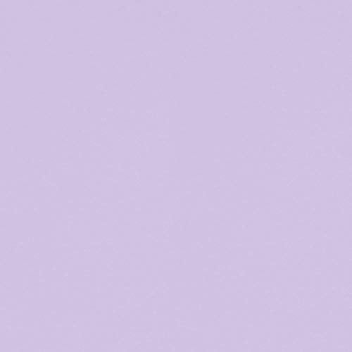 MARTHA STEWART Paint & Primer 8oz Spray Paint, Gloss Hydrangea Purple - color: Gloss Hydrangea Purple