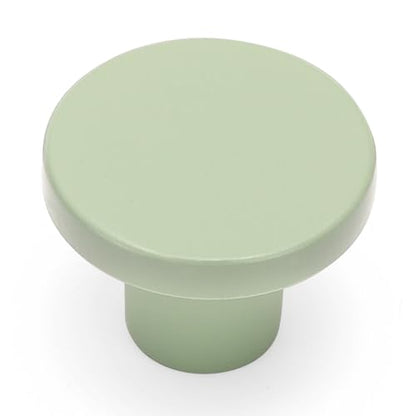 Ravinte Cabinet Knobs, 10 Pack Light Green Dresser Drawer Pulls, 1-1/5 Inch - color: Light Green