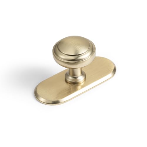 6Pack Champagne Bronze Cabinet Knobs with Backplate Drawer knobs - color: Champagne Bronze, style: Racetrack