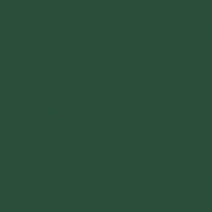 Liquitex Professional Spray Paint, 12-oz (400ml), Hooker's Green Permanent - color: Hooker's Green Hue Permanent, size: 12 Ounce (Pack of 1)