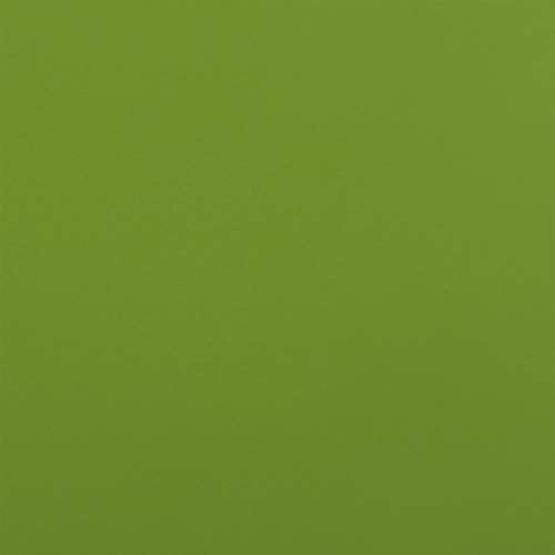 MARTHA STEWART Paint & Primer 8oz Spray Paint, Gloss Green Olive (42898) - color: Gloss Green Olive