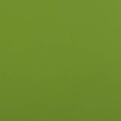 MARTHA STEWART Paint & Primer 8oz Spray Paint, Gloss Green Olive (42898) - color: Gloss Green Olive