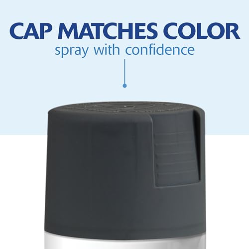 Rust-Oleum Painter's Touch 2X Ultra Cover Spray Paint, Satin Charcoal Gray - color: Satin Charcoal Gray, size: 12 Ounce (Pack of 2)