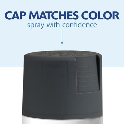 Rust-Oleum 350373 Painter's Touch 2X Ultra Cover Spray Paint, 12 oz, Satin Charcoal Gray (Pack of 4) - color: Satin Charcoal Gray, size: 12 Ounce (Pack of 4)