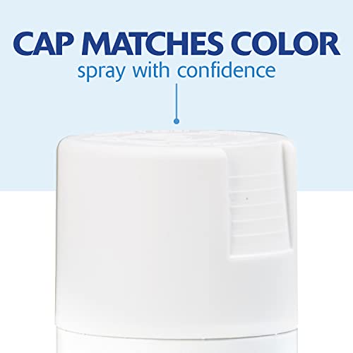Rust-Oleum Painter's Touch 2X Ultra Cover Spray Paint, Flat White - color: Flat White, size: 12 Ounce (Pack of 2)