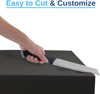 FoamRush 9" x 24" x 24" Charcoal High Density Upholstery Foam Cushion (Upholstery Sheet, Foam Padding, Seat Replacement, Chair Cushion Replacement, Square Foam, Wheelchair Seat Cushion) Made in USA - color: Charcoal Foam, size: 9" x 24" x 24"