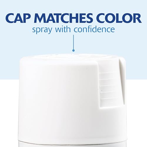 Rust-Oleum Painter's Touch 2X Ultra Cover Spray Paint, Ultra Matte White