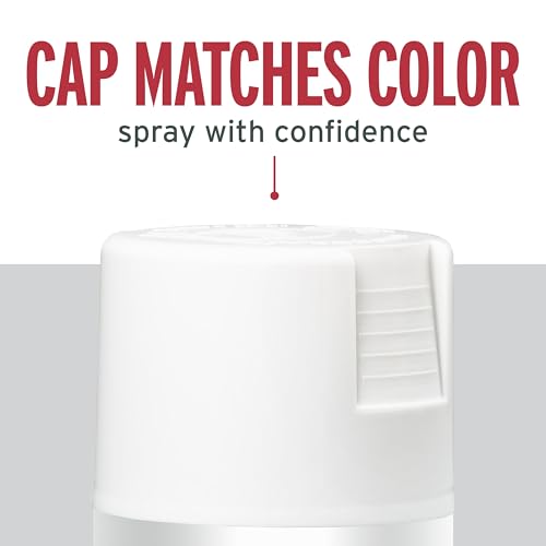 Rust-Oleum Stops Rust Spray Paint, Satin White