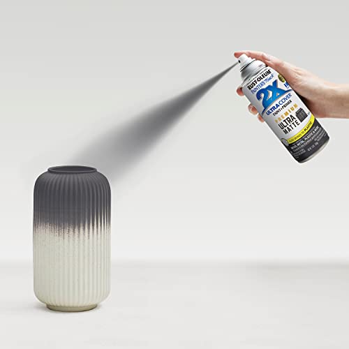 Rust-Oleum Painter's Touch 2X Ultra Cover Spray Paint, Ultra Matte Slate - color: Ultra Matte Slate, size: 12 Ounce (Pack of 6)