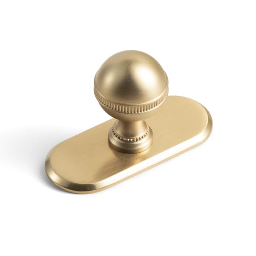Goo-Ki Champagne Bronze Cabinet Knobs with Oblong Backplate, 6 Pack - color: Champagne Bronze, style: Oblong Plate