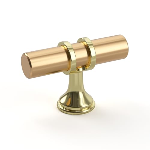 Goldenwarm 10 Pack Gold Cabinet Knobs T Bar Pulls, 2Inch - color: Gold