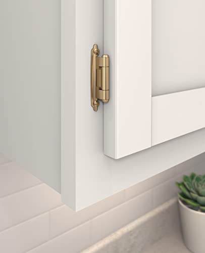 Amerock 1 Pair Variable Overlay Champagne Bronze Face Mount Cabinet Hinge - color: Champagne Bronze, size: Flat