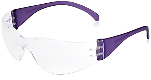 Pyramex Intruder Safety Eyewear Clear Frame Full Foam Padding Clear Anti-Fog Lens - color: Black, style: Standard