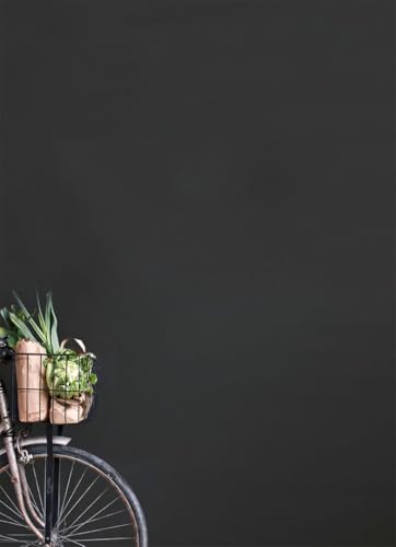 Annie Sloan Wall Paint (Graphite, 4 Fl Oz Tester) - color: Graphite, size: 4 Fl Oz (Pack of 1)