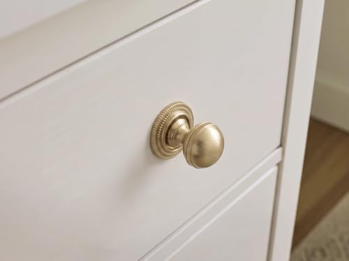 Goo-Ki Cabinet Knobs with Backplate, Champagne Bronze, 6 Pack - color: Champagne Bronze, style: Pearl Cirque Style