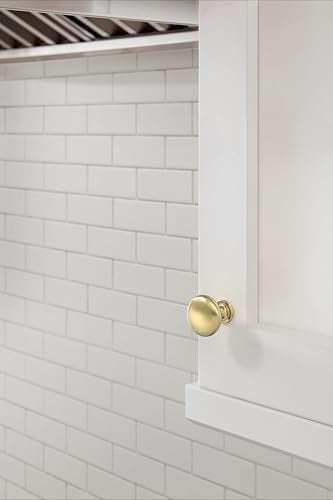 Amerock 1-1/4" Round Edona Polished Brass Cabinet Knob - color: Polished Brass, size: 1-1/4 Inch (32 mm) Diameter