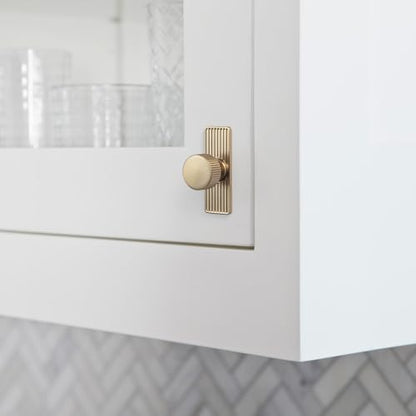 Goo-Ki Champagne Bronze Zinc Alloy Cabinet Knob with Backplate - Single Hole Center Cabinet Pull Hardware for Bedroom, Kitchen, 2 Pack（9596-G） - color: Champagne Bronze