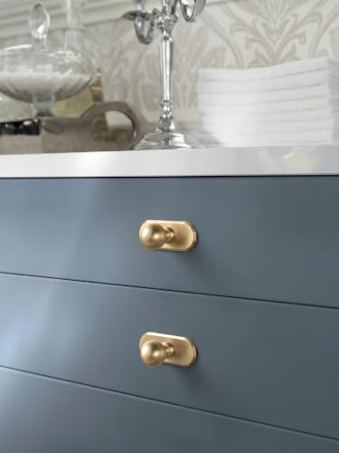 Goo-Ki Champagne Bronze Cabinet Knobs with Oblong Backplate, 6 Pack - color: Champagne Bronze, style: Oblong Plate