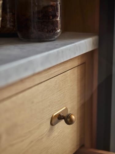 Goo-Ki Antique Brass Cabinet Knobs with Oblong Backplate, 6 Pack - color: Antique Brass, style: Oblong Plate