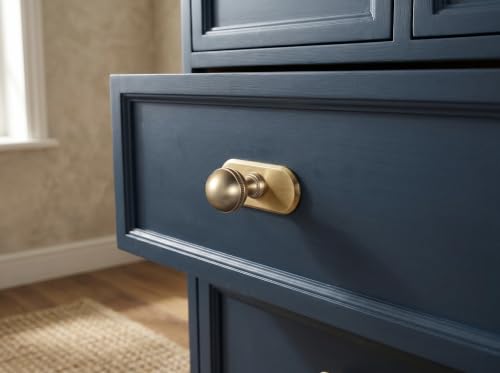 Goo-Ki Champagne Bronze Cabinet Knobs with Oblong Backplate, 6 Pack - color: Champagne Bronze, style: Oblong Plate