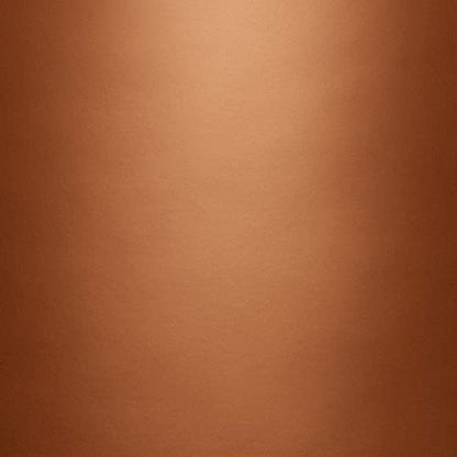 Krylon K02203 General Purpose, 12 Ounces BRILLIANT SPRAY PAINT METALLIC COPPER - color: Copper