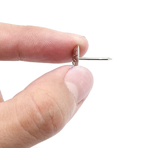 Piutouyar 100 Pcs Daisy Antique Silver Upholstery Tacks, 11x16mm Tacks - color: Silver