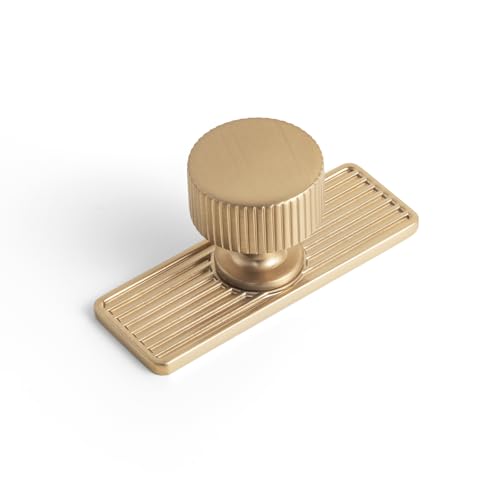 Goo-Ki Champagne Bronze Zinc Alloy Cabinet Knob with Backplate - Single Hole Center Cabinet Pull Hardware for Bedroom, Kitchen, 2 Pack（9596-G） - color: Champagne Bronze