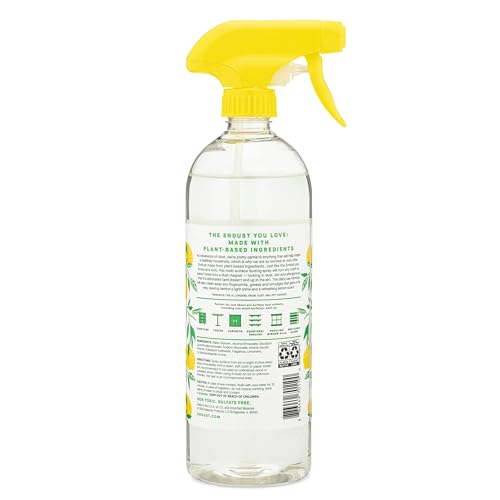 Endust Plant-based Multi-surface Dusting & Cleaning Spray, 24 Fl Oz (Pack of 2)