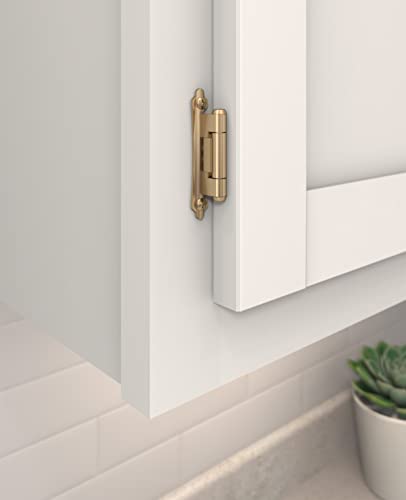 Amerock 1 Pair 3/8" Inset Champagne Bronze Self-Closing Face Mount Hinge