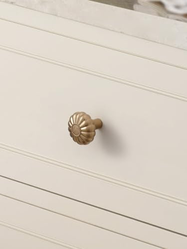 JIASENABO Champagne Bronze Cabinet Knobs 5 Pack Drawer Pulls Kitchen Cupboard Bathroom Dresser Cabinet Hardware Handles Zinc Alloy - color: Champagne Bronze, size: Knob