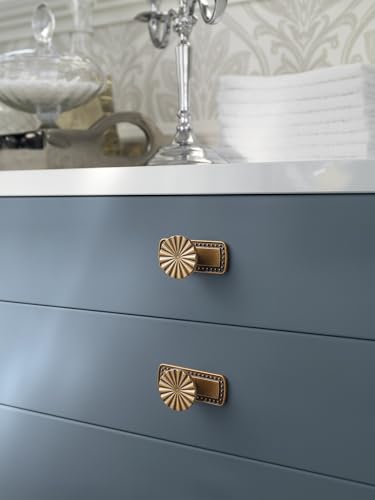 Goo-Ki 1.5'(38mm) Dia Antique Brass Cabinet Knob with Gilded Beaded Border Backplate, Zinc Alloy Flower Design Drawer Knobs,Retro Style,6 Pack - color: Antique Brass, size: 1.5'' Dia Knob With Beaded Backplate