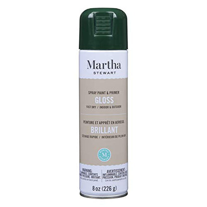 MARTHA STEWART Paint & Primer 8oz Spray Paint, Gloss Classroom Green (42897) - color: Gloss Classroom Green