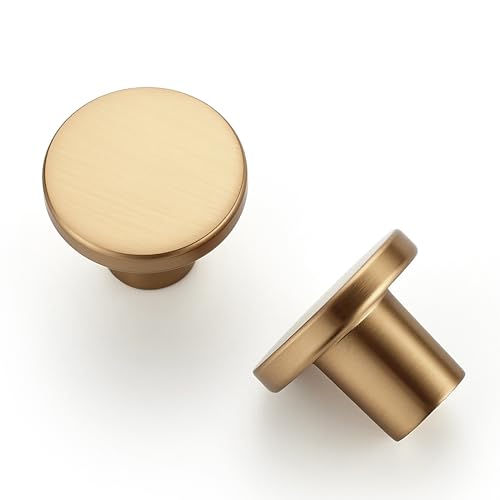 Ravinte Cabinet Knobs, 10 Pack Champagne Bronze Dresser Drawer Pulls - color: Champagne Bronze