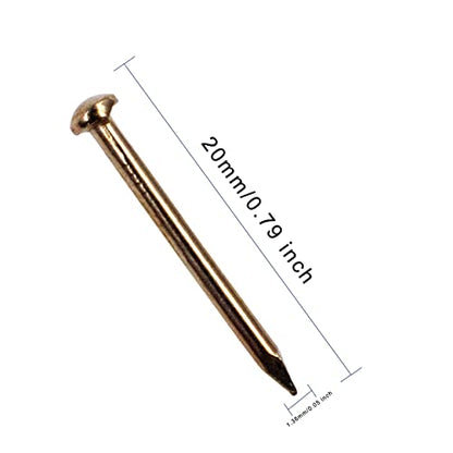 OMOTOOL Hardware Nail Assortment Kit (300pcs), Brass Plated Nails for Hanging Pictures (20MM)
