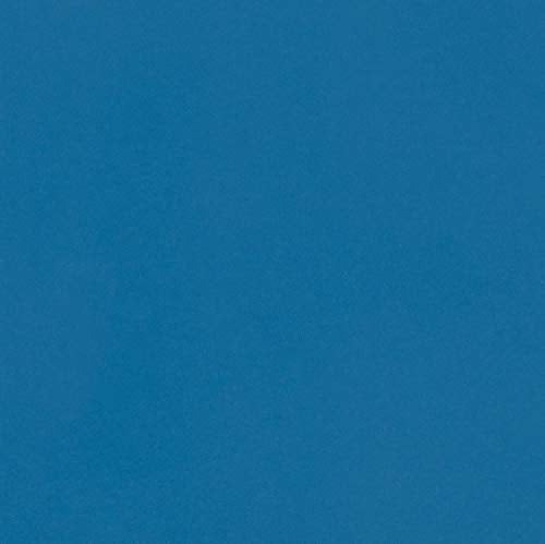 MARTHA STEWART Paint & Primer 8oz Spray Paint, Gloss French Riviera (42901) - color: Gloss French Riviera