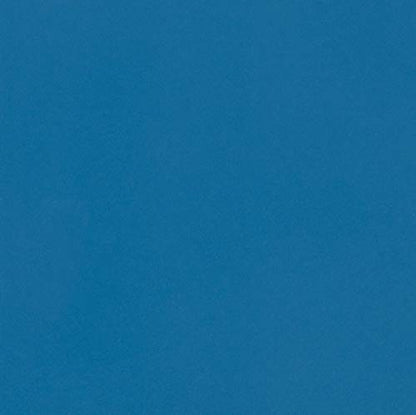MARTHA STEWART Paint & Primer 8oz Spray Paint, Gloss French Riviera (42901) - color: Gloss French Riviera