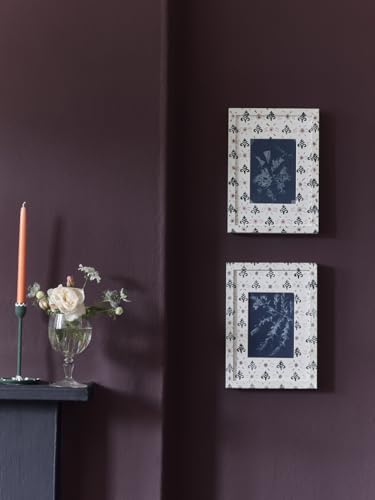 Annie Sloan Wall Paint (Tyrian Plum, 4 Fl Oz Tester) - color: Tyrian Plum, size: 4 Fl Oz (Pack of 1)