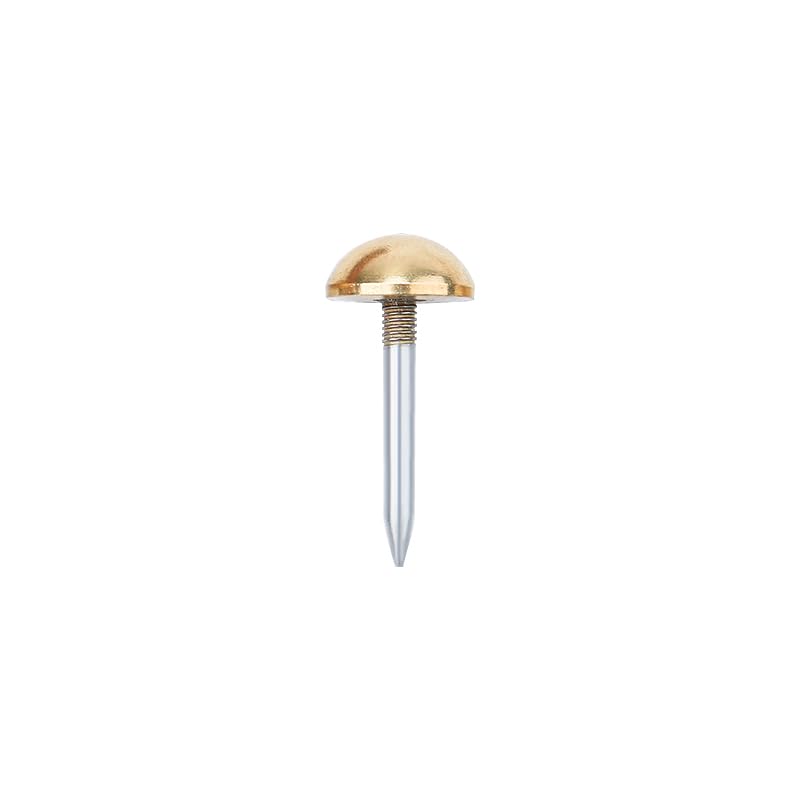 dophee 20Pcs Gold Small Round Head Brass Upholstery Nails Tacks, 12mm - color: Gold, size: 12 mm