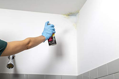 Rust-Oleum Zinsser 287512 Molding Blocking Spray Primer, 13 oz, White - size: 13 Fl Oz (Pack of 1)