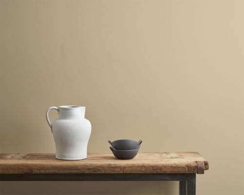 Annie Sloan Wall Paint (Old Ochre, 4 Fl Oz Tester) - color: Old Ochre, size: 4 Fl Oz (Pack of 1)