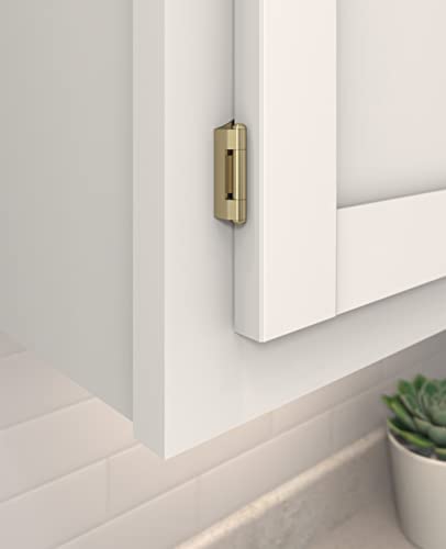 Amerock 1 Pair 1/4" Overlay Golden Champagne Demountable Cabinet Hinge - color: Golden Champagne, size: 1/4 Inch (6 mm) Overlay