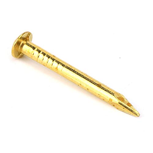 HEEPDD 100Pcs Brass Escutcheon Tacks, Round Head Brass Brad Nail (15mm) - color: 15mm Length