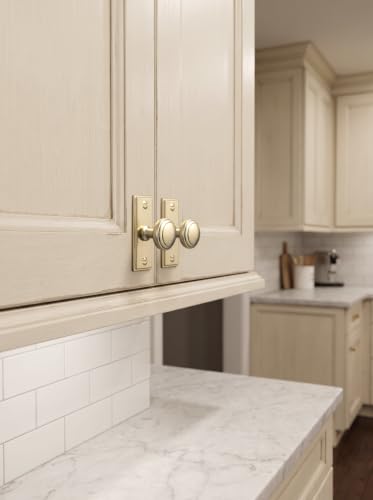 6Pack Champagne Bronze Cabinet Knobs with Backplate Drawer knobs - color: Champagne Bronze, style: Plaquette