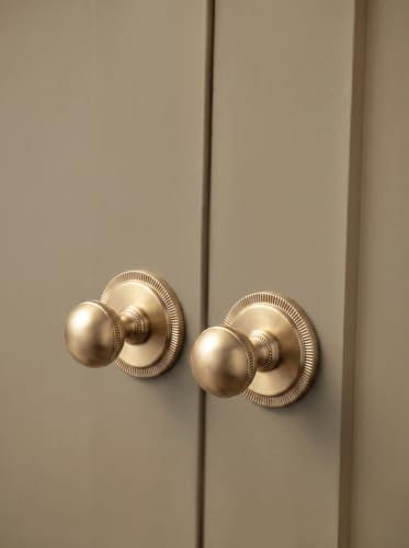 Goo-Ki Cabinet Knobs with Backplate, Champagne Bronze, 6 Pack - color: Champagne Bronze, style: Radiant Crest Style