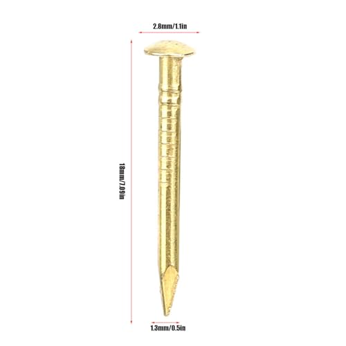HEEPDD 100Pcs Brass Escutcheon Tacks Pins, Round Head Brad Nail 18mm Length - color: 18mm Length