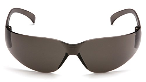 Pyramex Intruder Safety Eyewear Clear Frame Full Foam Padding Clear Anti-Fog Lens - color: Gray Anti-fog Lens/ Gray Frame, style: Standard