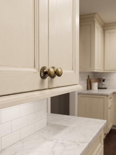 6Pack Antique Brass Cabinet Knob with Backplate Round Drawer Knob - color: Antique Brass, style: Daisy