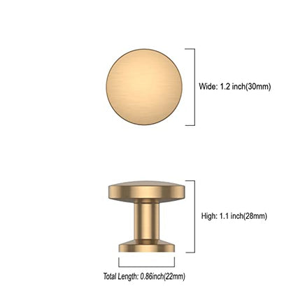 Asidrama 10 Pack Champagne Bronze Kitchen Cabinet Knobs Dresser Knob Drawer Knobs Cabinet Hardware Zinc Knob for Dresser Drawers - color: Champagne Bronze, style: 10 Pack